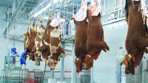 Meat processing near me - Bill's Custom Processing, Coalgate, Oklahoma. 2,151 likes · 11 talking about this. Custom meat processing that provides 1/4,1/2 or whole local animals to public cut the way they want.